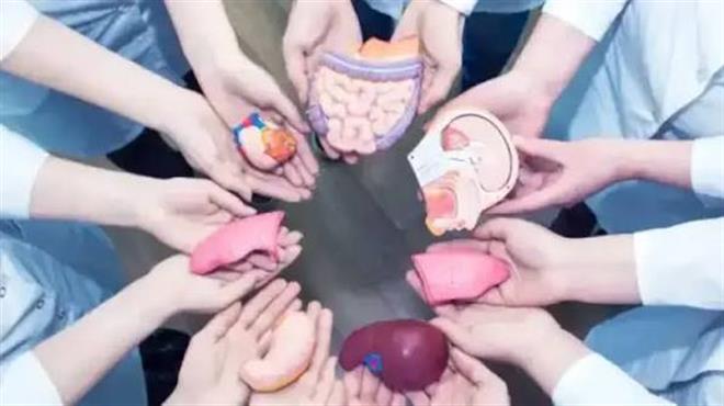 ‌چاندنی ئەندامەکان؛ چیرۆکی بەخشینی ژیان و تەحەدیاتی دادپەروەری پزیشکی