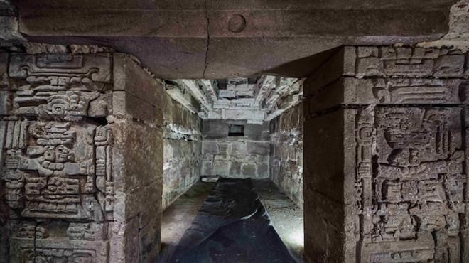 ‌جیهانێکی شاراوەی زاپۆتێک لە نێو جەرگەی خاکی ئۆکساخاوە دەردەکەوێت